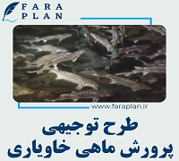 طرح توجیهی پرورش ماهی خاویاری