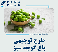 greengage farming