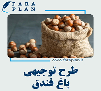 hazelnuts farming