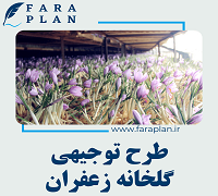 saffron