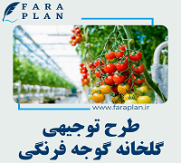 tomato greenhouse