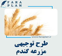 طرح توجیهی احداث مزرعه گندم