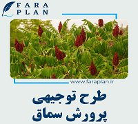 طرح توجیهی احداث باغ سماق
