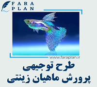 طرح توجیهی پرورش ماهیان زینتی