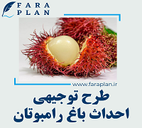 طرح توجیهی احداث باغ رامبوتان
