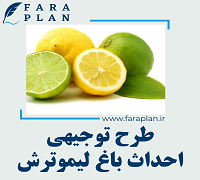 طرح توجیهی احداث باغ لیموترش