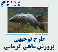 طرح توجیهی پرورش ماهی گرمابی