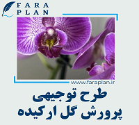طرح توجیهی پرورش گل ارکیده