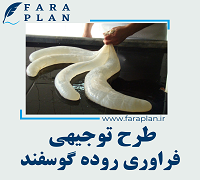طرح توجیهی فرآوری روده گوسفند