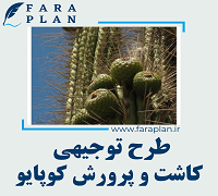 طرح توجیهی پرورش کوپایو